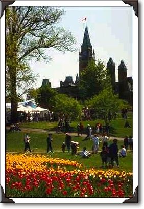Festival of Spring, at Major Hill's park