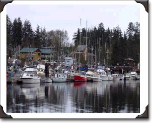 Boats at the Masset Harbour.