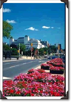 Colorful Elgin Street, Ottawa