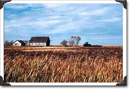 Prairie farm scene, highway 220, Manitoba