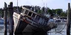 Old "Haida Warrior" tied up at the Masset Harbour.