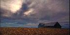 Cornfield, barn and clouds, Quebec