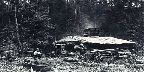 Lumbermen's shanty, c.1879, photo A. Henderson PA-149706