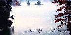 Morning mist with geese, Lake Lamabie, Ontario